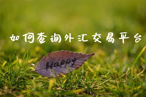 如何查询外汇交易平台_https://wap.sdyuehang.cn_债券资讯_第1张