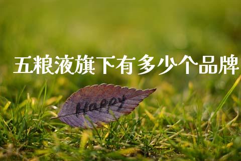 五粮液旗下有多少个品牌_https://wap.sdyuehang.cn_产经新闻_第1张