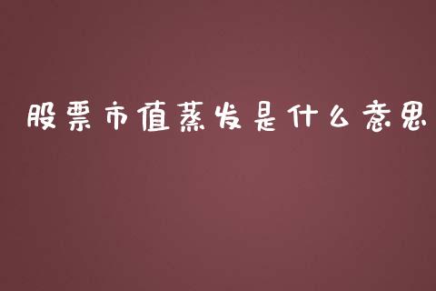 股票市值蒸发是什么意思_https://wap.sdyuehang.cn_债券资讯_第1张