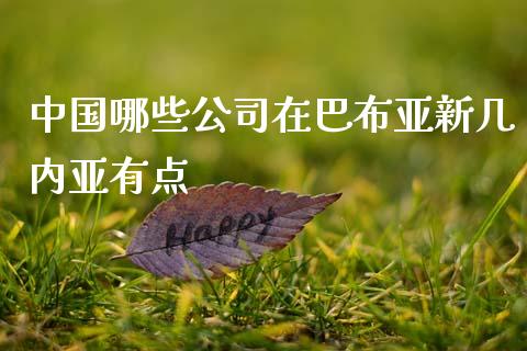 中国哪些公司在巴布亚新几内亚有点_https://wap.sdyuehang.cn_债券资讯_第1张