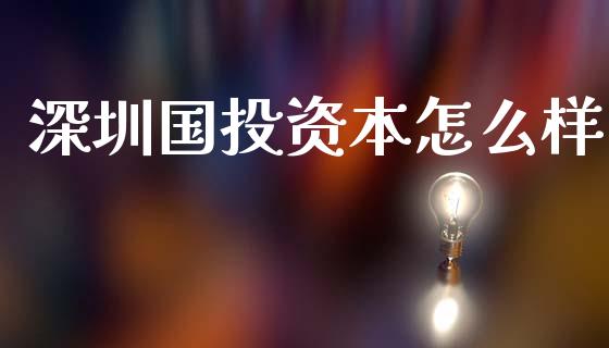 深圳国投资本怎么样_https://wap.sdyuehang.cn_新股申购_第1张