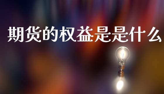 期货的权益是是什么_https://wap.sdyuehang.cn_新股申购_第1张