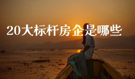 20大标杆房企是哪些_https://wap.sdyuehang.cn_产经新闻_第1张