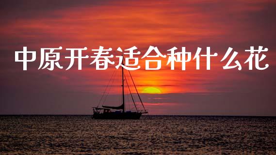 中原开春适合种什么花_https://wap.sdyuehang.cn_债券资讯_第1张