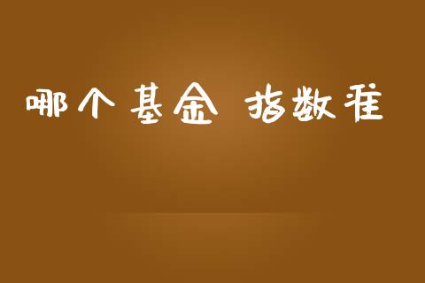 哪个基金 指数准_https://wap.sdyuehang.cn_债券资讯_第1张