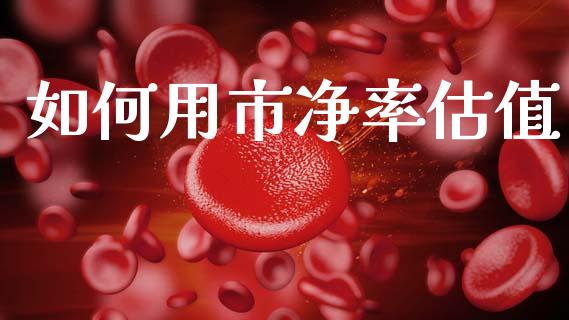 如何用市净率估值_https://wap.sdyuehang.cn_新股申购_第1张