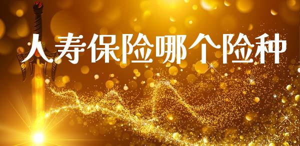 人寿保险哪个险种_https://wap.sdyuehang.cn_债券资讯_第1张