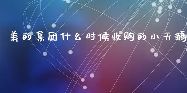 美的集团什么时候收购的小天鹅_https://wap.sdyuehang.cn_债券资讯_第1张