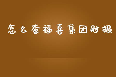 怎么查福喜集团财报_https://wap.sdyuehang.cn_产经新闻_第1张