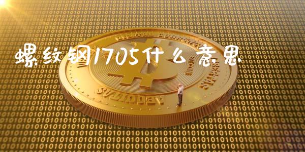 螺纹钢1705什么意思_https://wap.sdyuehang.cn_美股行情_第1张