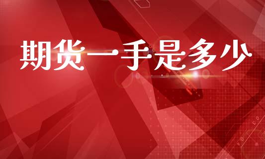 期货一手是多少_https://wap.sdyuehang.cn_新股申购_第1张