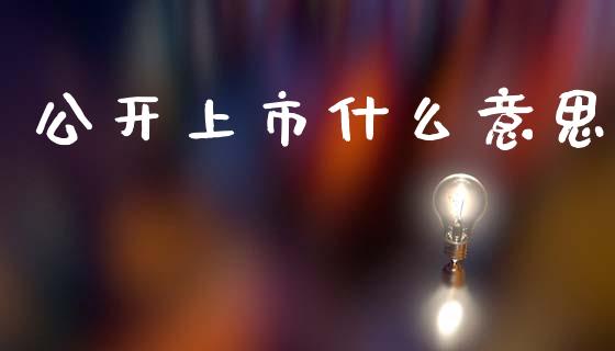 公开上市什么意思_https://wap.sdyuehang.cn_美股行情_第1张