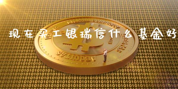 现在买工银瑞信什么基金好_https://wap.sdyuehang.cn_新股申购_第1张