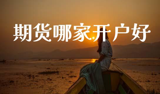 期货哪家开户好_https://wap.sdyuehang.cn_美股行情_第1张