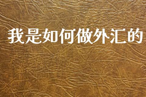我是如何做外汇的_https://wap.sdyuehang.cn_新股申购_第1张