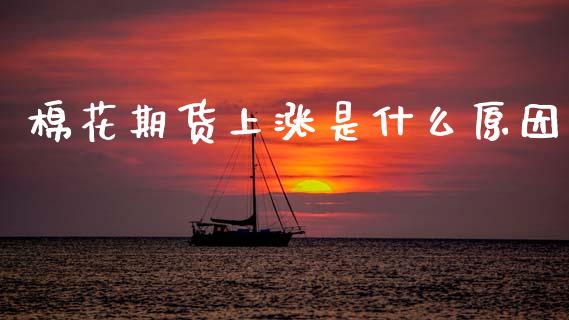 棉花期货上涨是什么原因_https://wap.sdyuehang.cn_债券资讯_第1张