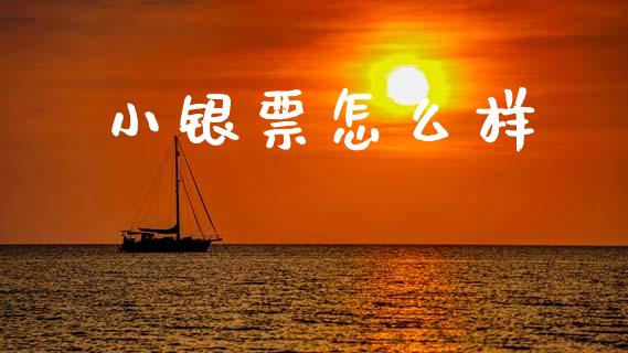 小银票怎么样_https://wap.sdyuehang.cn_美股行情_第1张