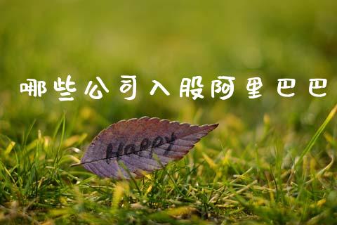 哪些公司入股阿里巴巴_https://wap.sdyuehang.cn_产经新闻_第1张