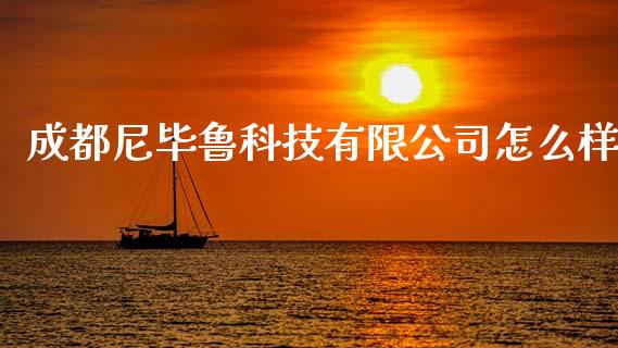 成都尼毕鲁科技有限公司怎么样_https://wap.sdyuehang.cn_美股行情_第1张