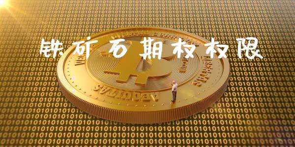 铁矿石期权权限_https://wap.sdyuehang.cn_产经新闻_第1张