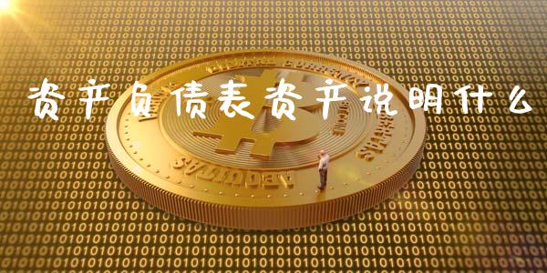 资产负债表资产说明什么_https://wap.sdyuehang.cn_新股申购_第1张