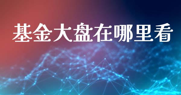 基金大盘在哪里看_https://wap.sdyuehang.cn_产经新闻_第1张