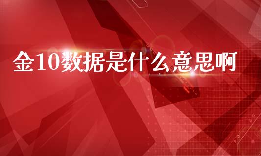 金10数据是什么意思啊_https://wap.sdyuehang.cn_美股行情_第1张