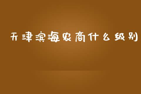 天津滨海农商什么级别_https://wap.sdyuehang.cn_产经新闻_第1张