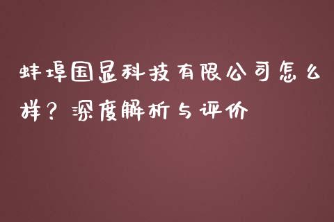 蚌埠国显科技有限公司怎么样？深度解析与评价_https://wap.sdyuehang.cn_美股行情_第1张