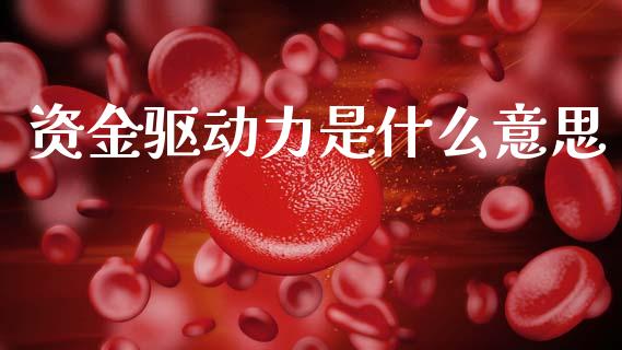 资金驱动力是什么意思_https://wap.sdyuehang.cn_新股申购_第1张