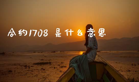 合约1708 是什么意思_https://wap.sdyuehang.cn_新股申购_第1张