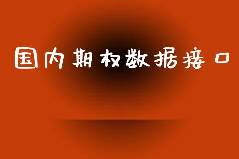 国内期权数据接口_https://wap.sdyuehang.cn_新股申购_第1张