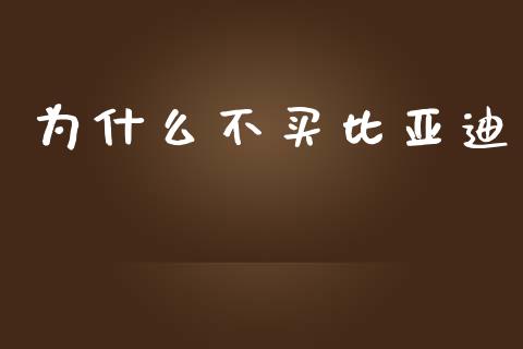 为什么不买比亚迪_https://wap.sdyuehang.cn_新股申购_第1张