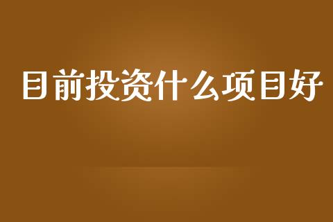 目前投资什么项目好_https://wap.sdyuehang.cn_新股申购_第1张