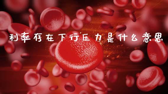 利率存在下行压力是什么意思_https://wap.sdyuehang.cn_新股申购_第1张