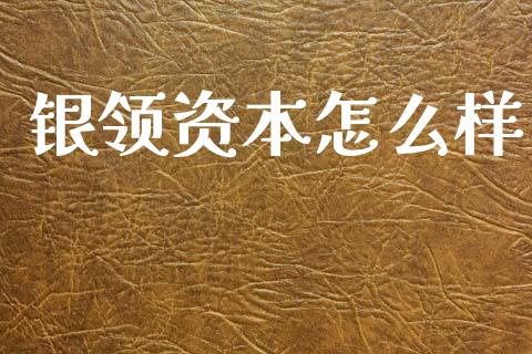 银领资本怎么样_https://wap.sdyuehang.cn_债券资讯_第1张