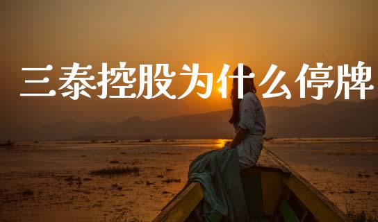 三泰控股为什么停牌_https://wap.sdyuehang.cn_产经新闻_第1张
