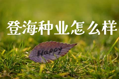 登海种业怎么样_https://wap.sdyuehang.cn_产经新闻_第1张