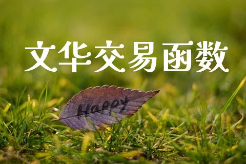 文华交易函数_https://wap.sdyuehang.cn_美股行情_第1张