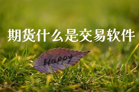 期货什么是交易软件_新股申购_第1张_产经新闻_债券资讯_新股申购_美股行情 期货什么是交易软件_https://wap.sdyuehang.cn_新股申购_第1张