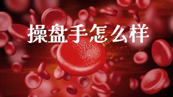 操盘手怎么样_https://wap.sdyuehang.cn_美股行情_第1张