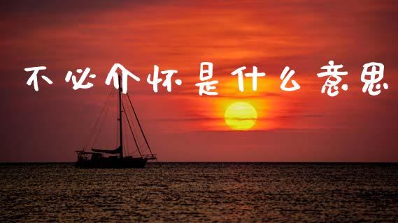 不必介怀是什么意思_https://wap.sdyuehang.cn_新股申购_第1张