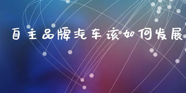 自主品牌汽车该如何发展_https://wap.sdyuehang.cn_债券资讯_第1张