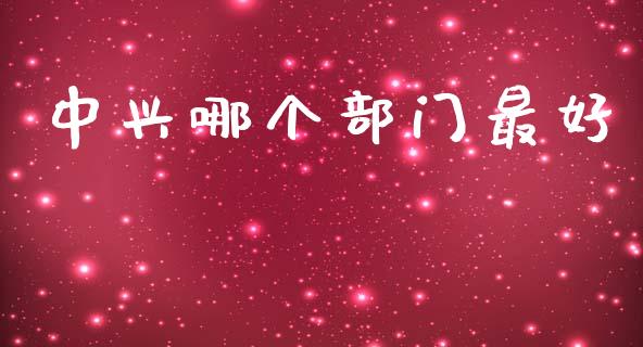 中兴哪个部门最好_https://wap.sdyuehang.cn_债券资讯_第1张
