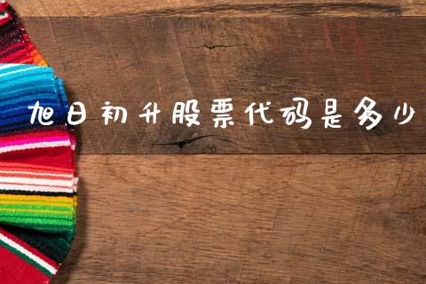旭日初升股票代码是多少_https://wap.sdyuehang.cn_美股行情_第1张