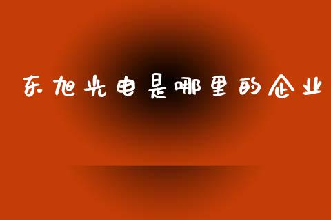 东旭光电是哪里的企业_https://wap.sdyuehang.cn_债券资讯_第1张
