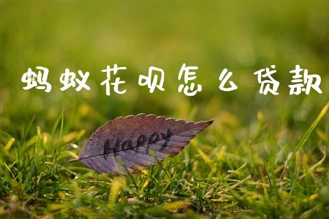 蚂蚁花呗怎么贷款_https://wap.sdyuehang.cn_新股申购_第1张