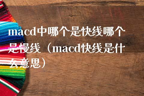 macd中哪个是快线哪个是慢线（macd快线是什么意思）_https://wap.sdyuehang.cn_产经新闻_第1张