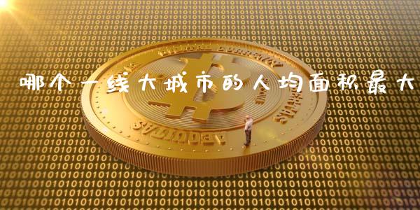 哪个一线大城市的人均面积最大_https://wap.sdyuehang.cn_美股行情_第1张