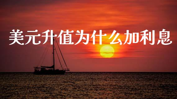 美元升值为什么加利息_https://wap.sdyuehang.cn_美股行情_第1张